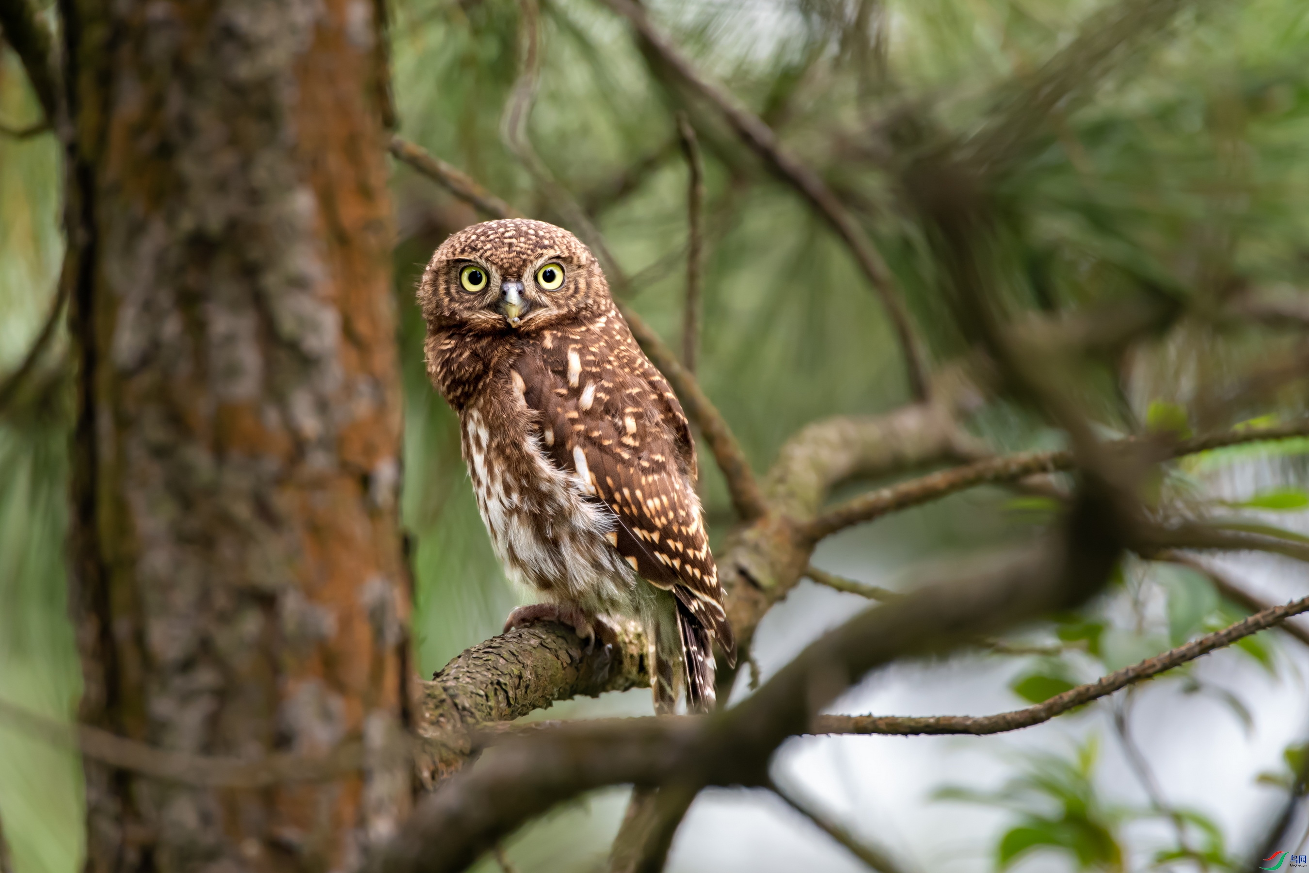 DSC_4791.jpg