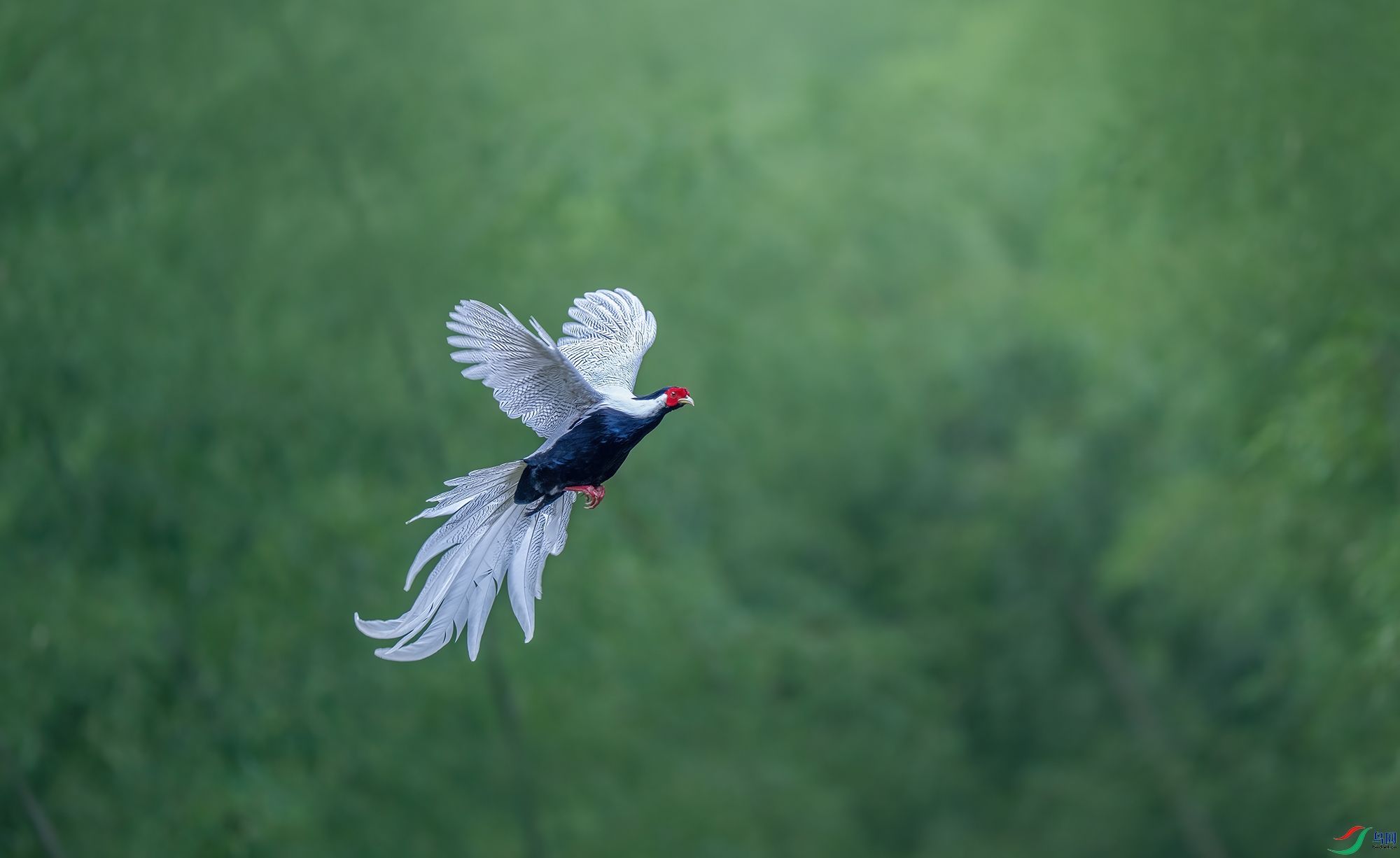 ƮƮ����_DSC2426С.jpg