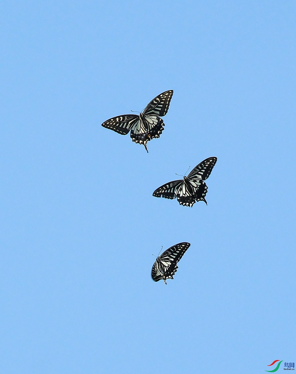 DSCF7835.JPG
