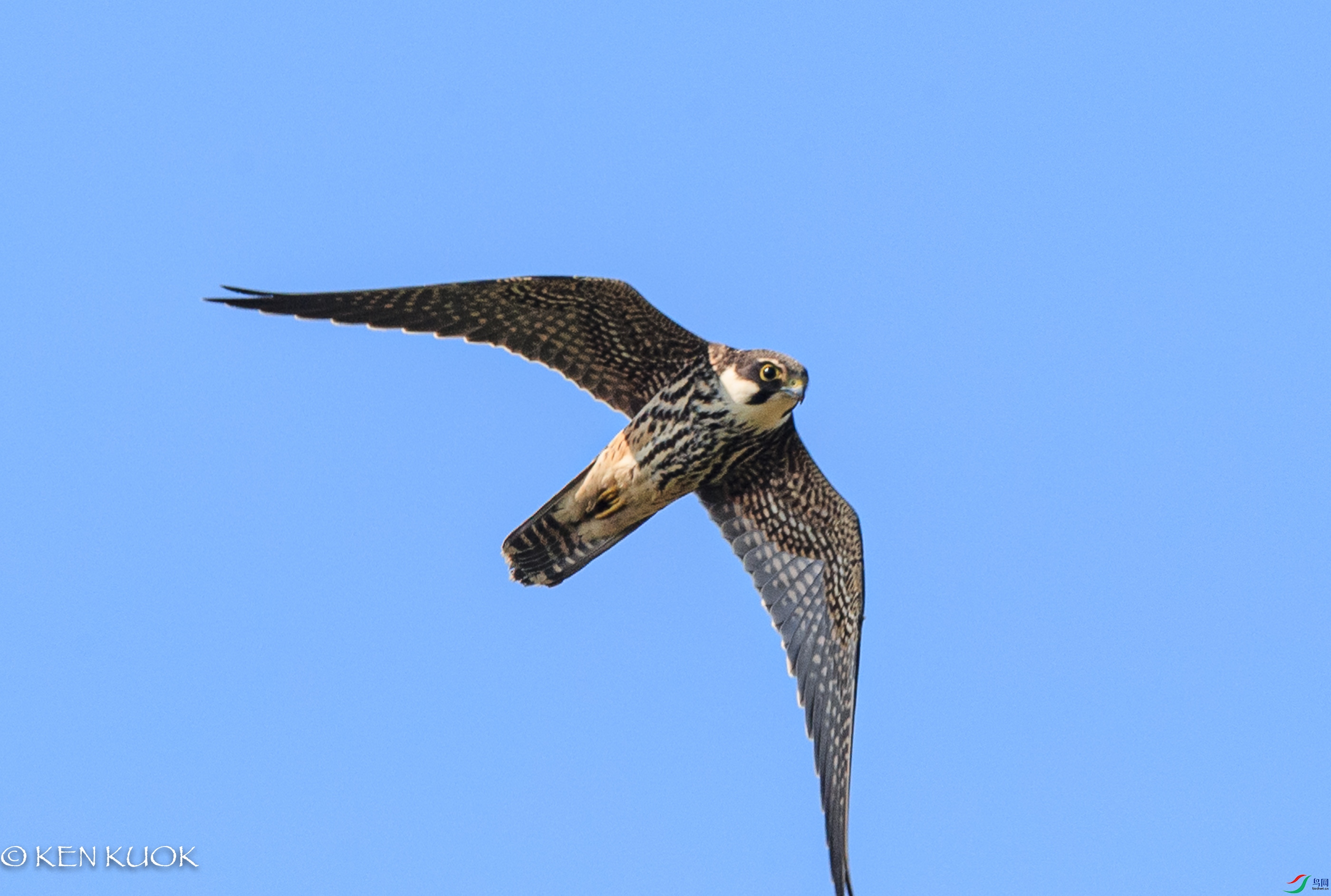 1DX_3165.jpg