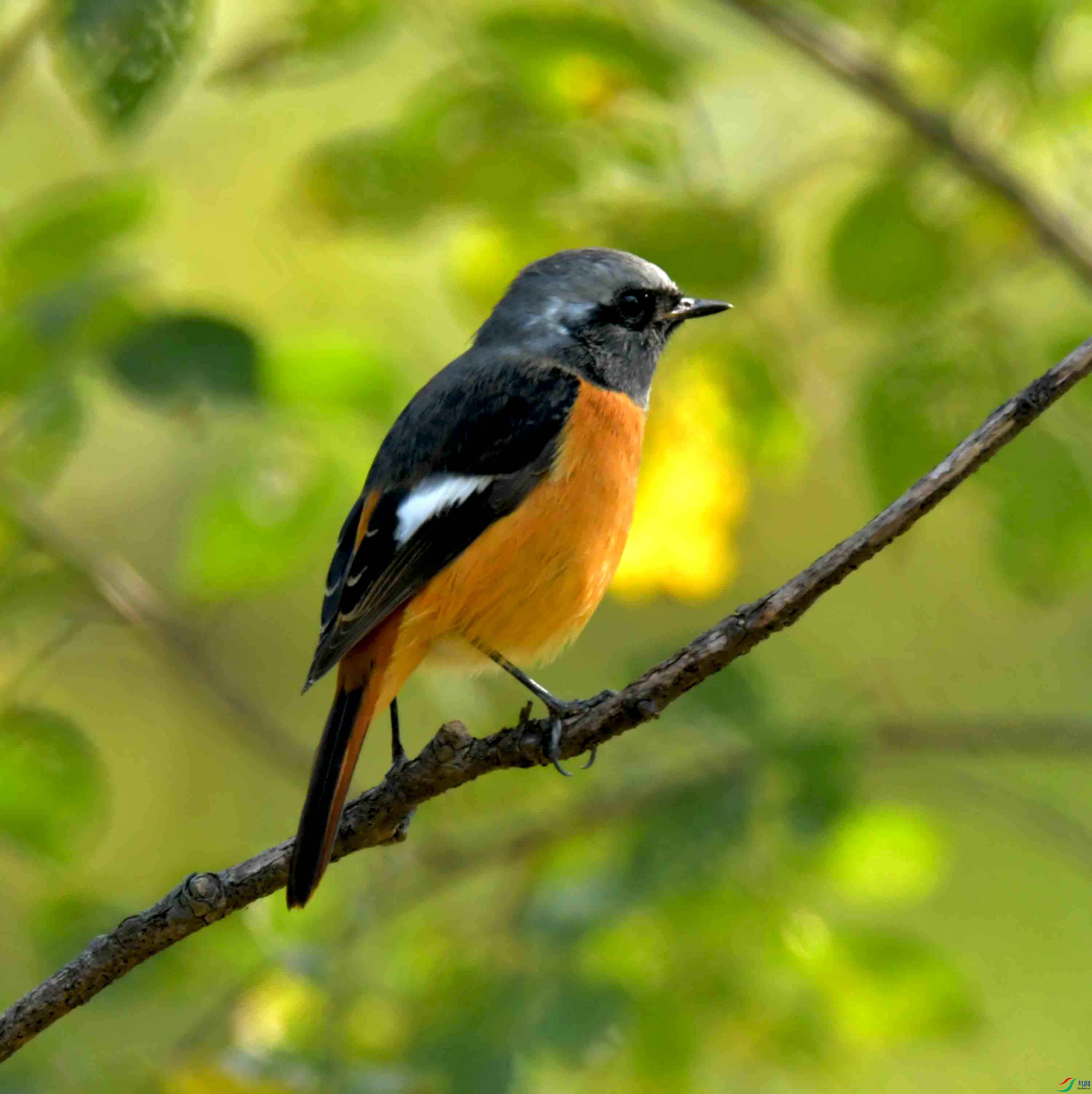 DSC_6478.JPG