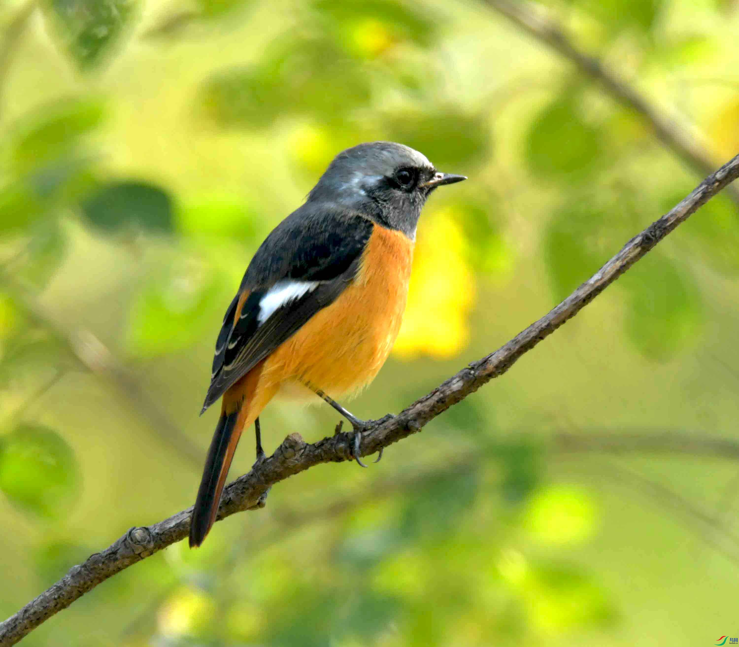 DSC_6477.JPG