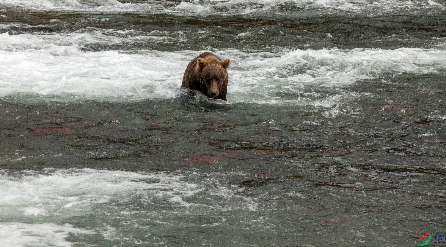 0S9A8146 ����.jpg