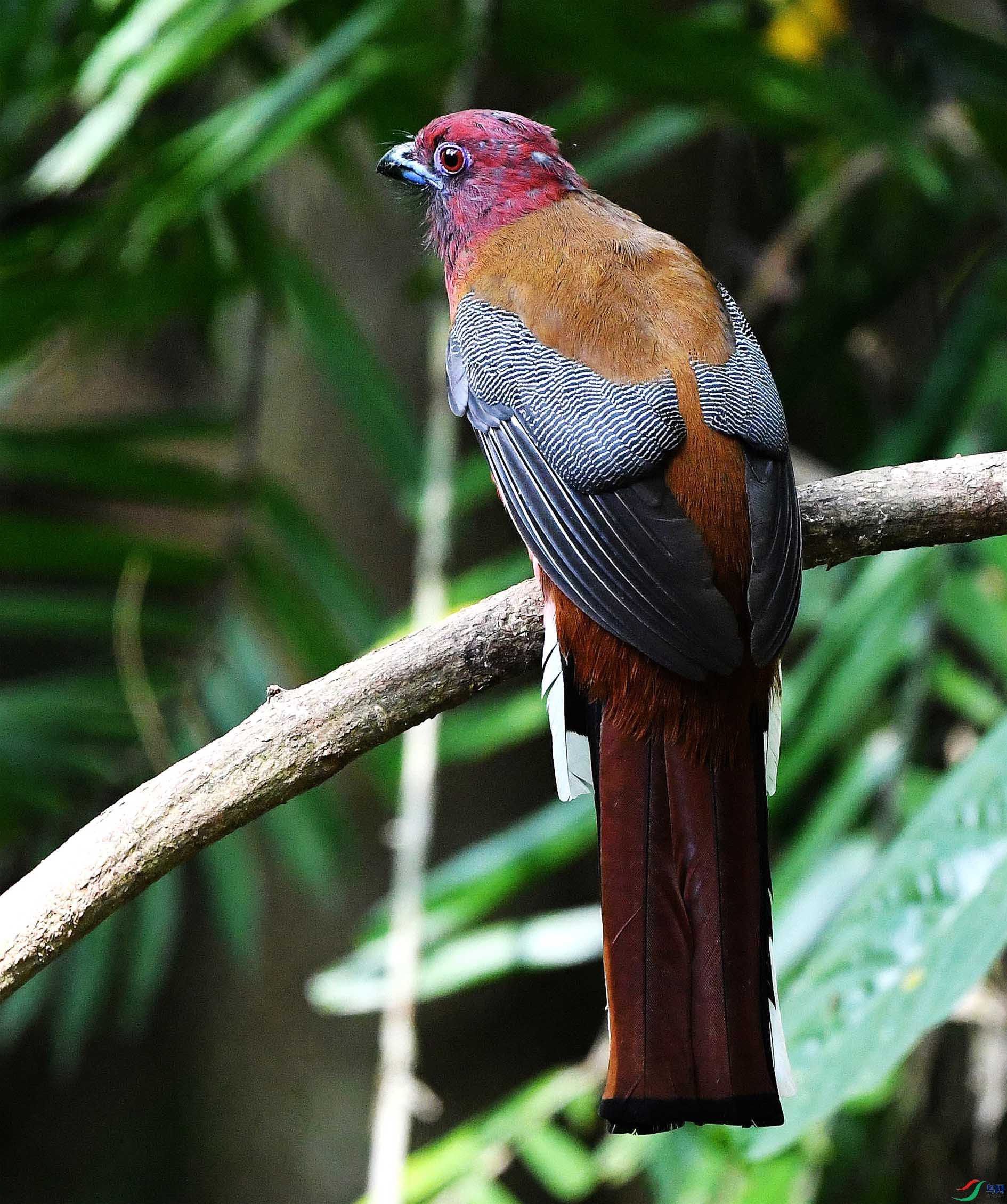DSC_1153_����.jpg