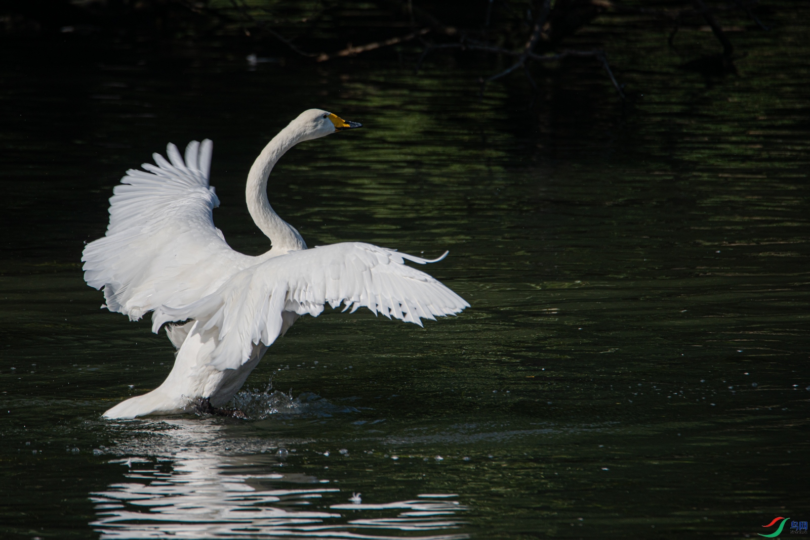 DSC_0621.jpg