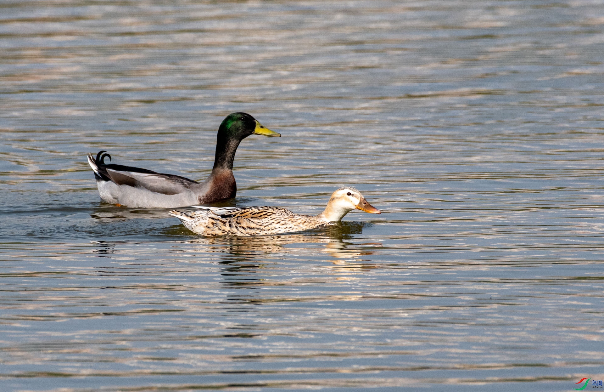DSC_3265.jpg