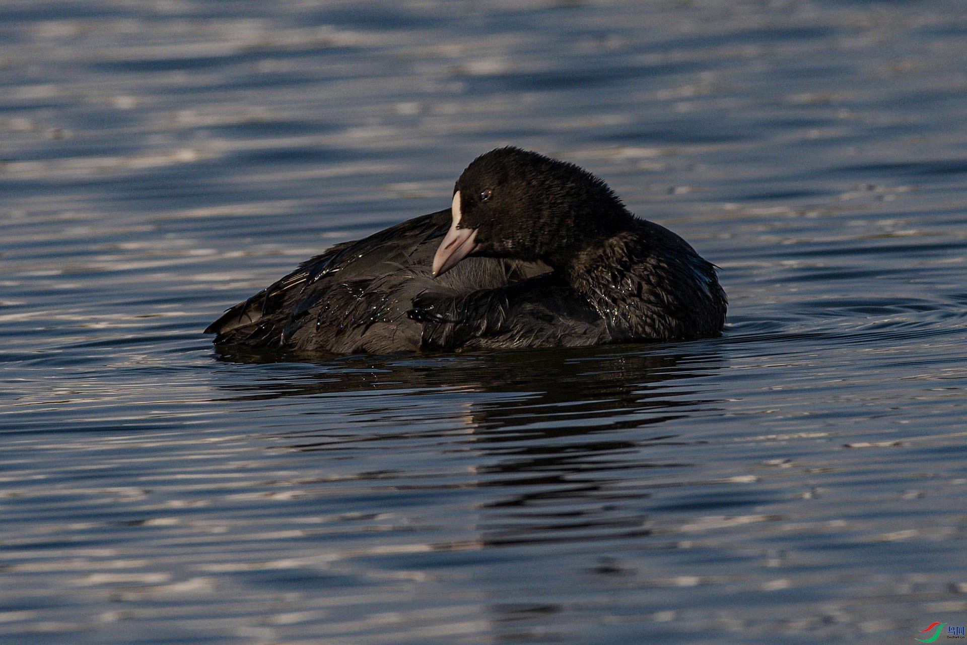 _DSC4473_DxO.jpg
