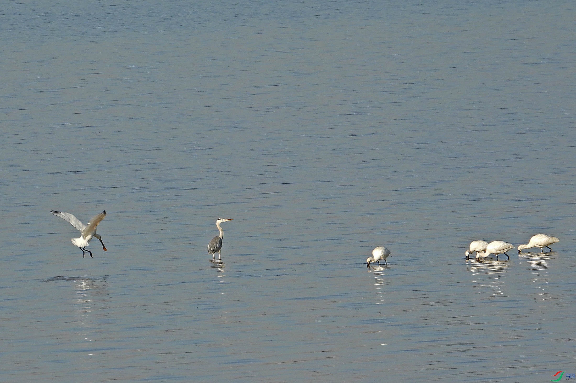 DSCN7875.jpg