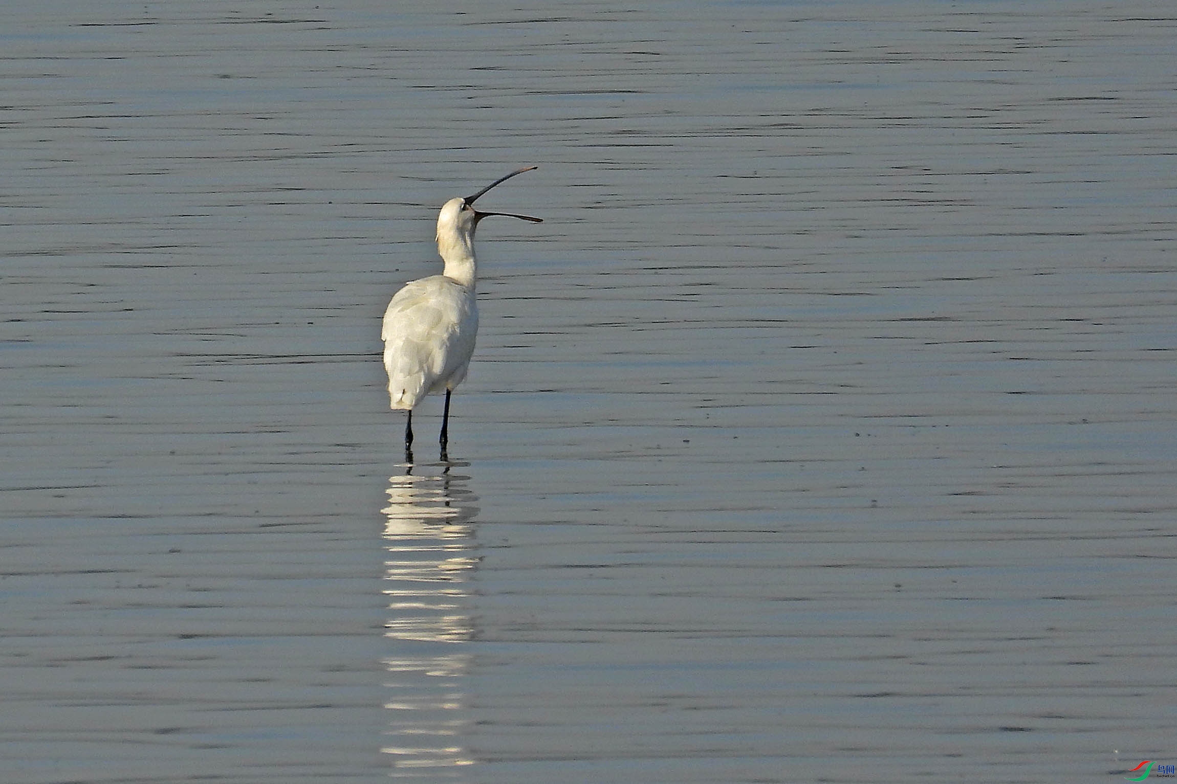 DSCN7960.jpg