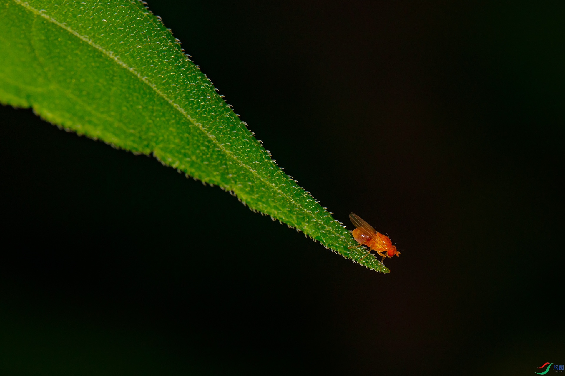 EC6A8152_����.jpg