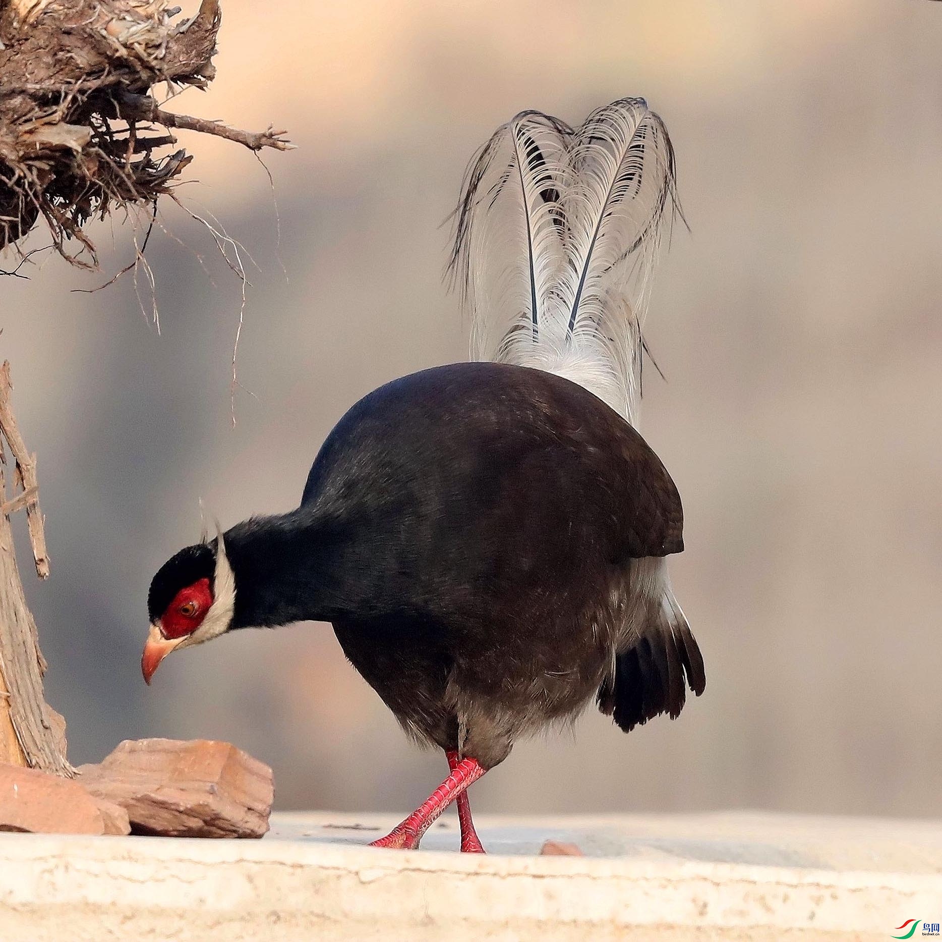 AR8I0228_���� (1).jpgn1.jpg