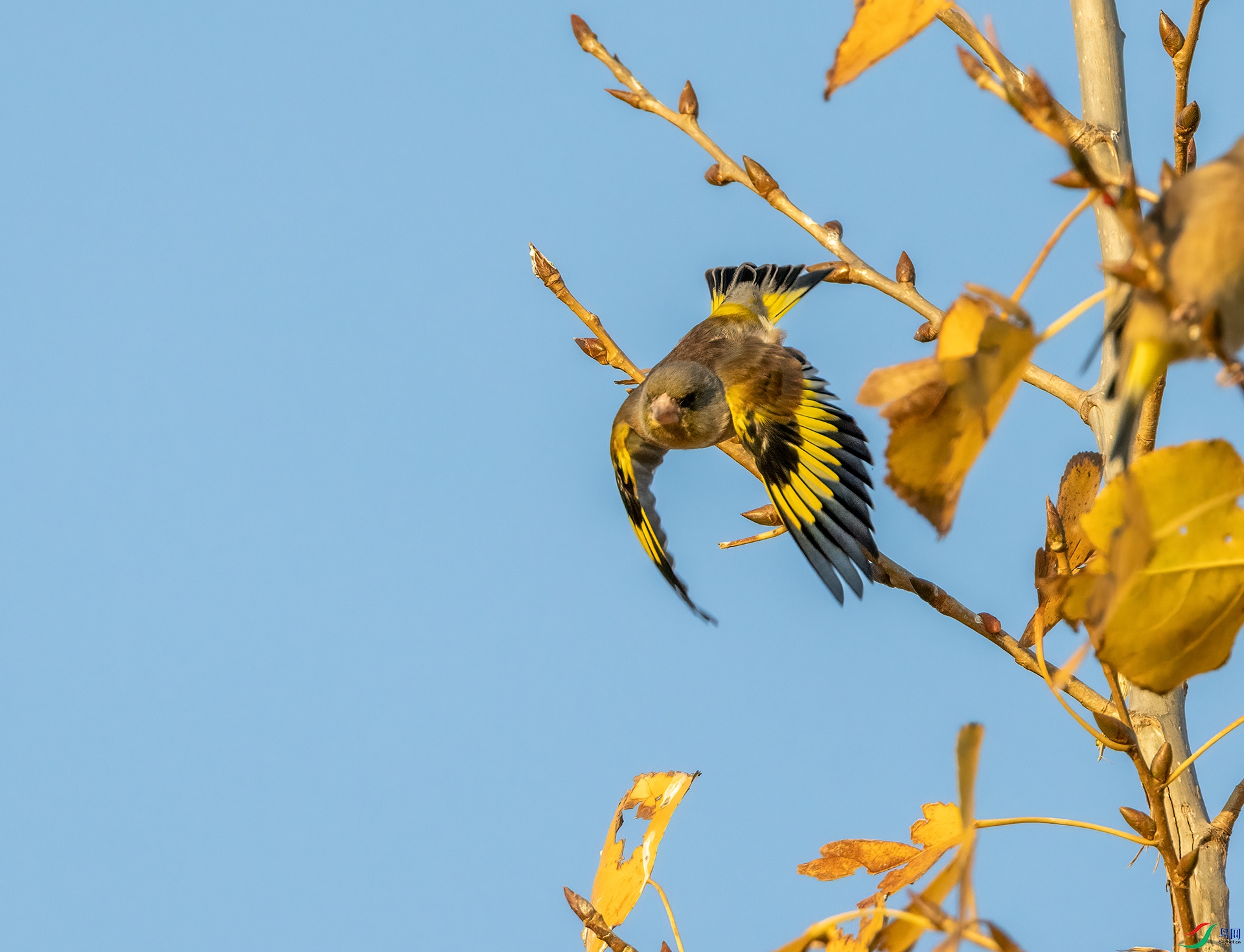 4E9A6124_09- ����.jpg