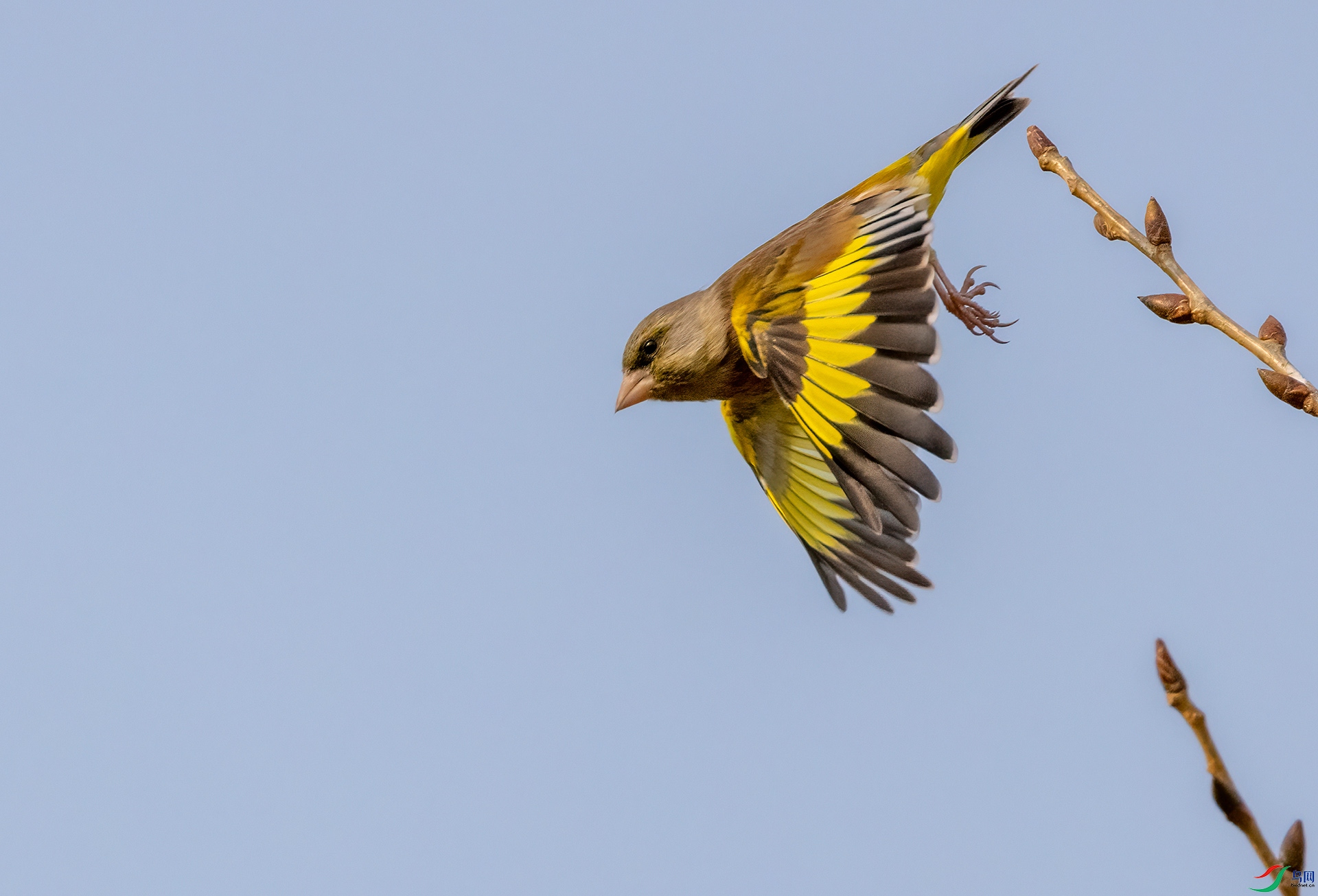 4E9A6196_08- ����.jpg