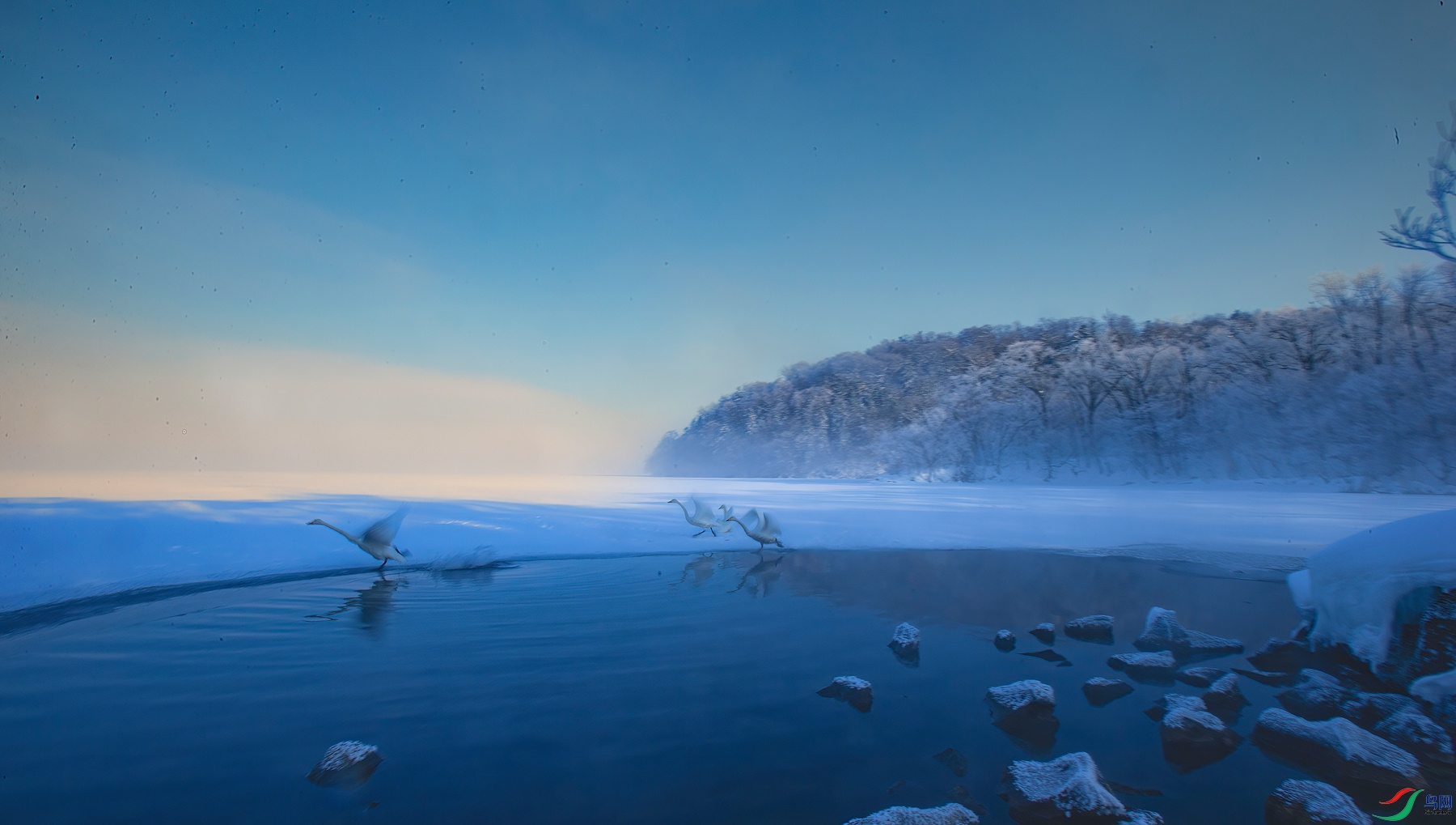 AH7X4101-DeNoiseAI-low-light_����.jpg