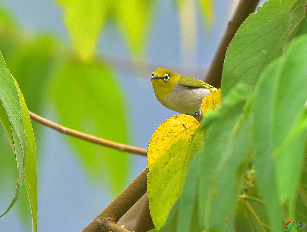 DSC_9839.JPG