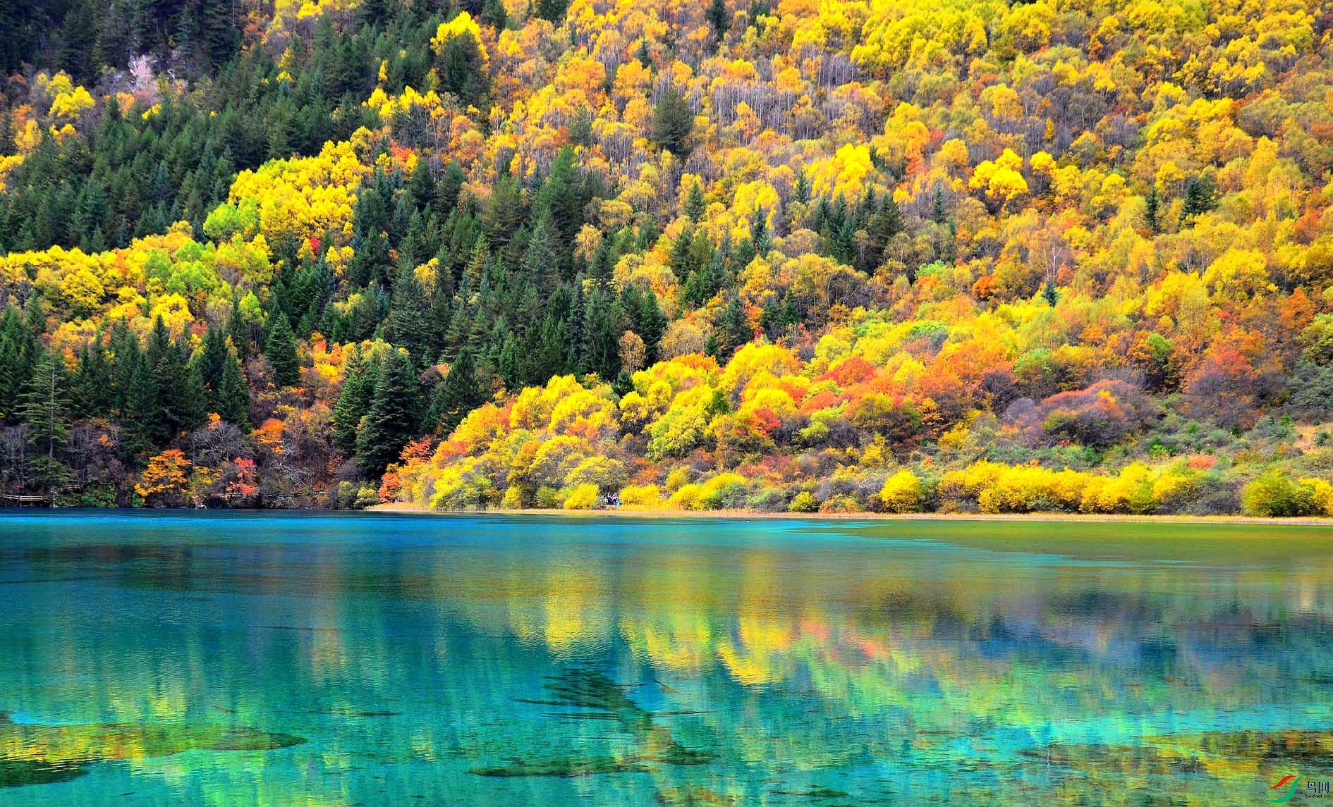 ��կ�� 267.jpg