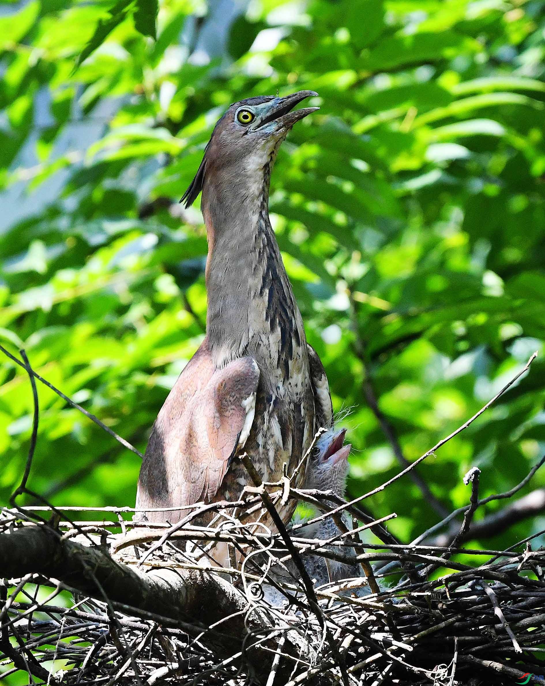 DSC_5359_����.jpg