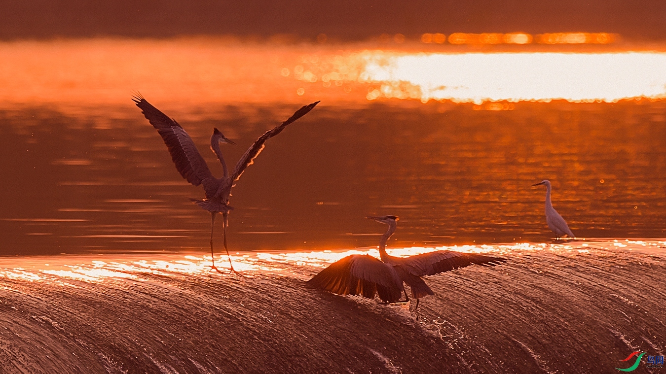 DSC_0451 - ����.jpg