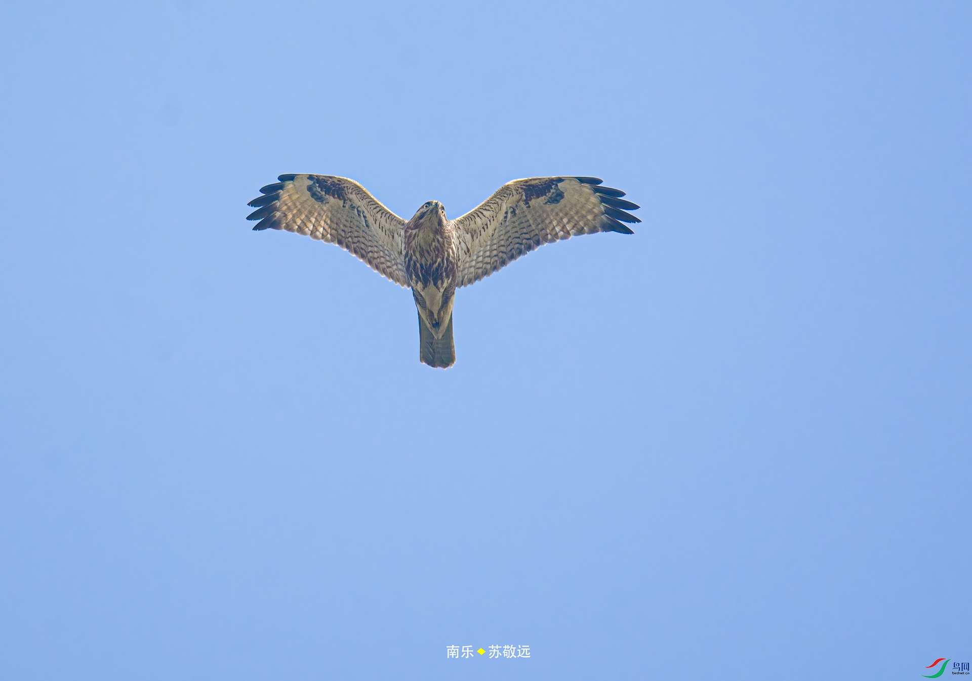 _DSC1359С.jpg