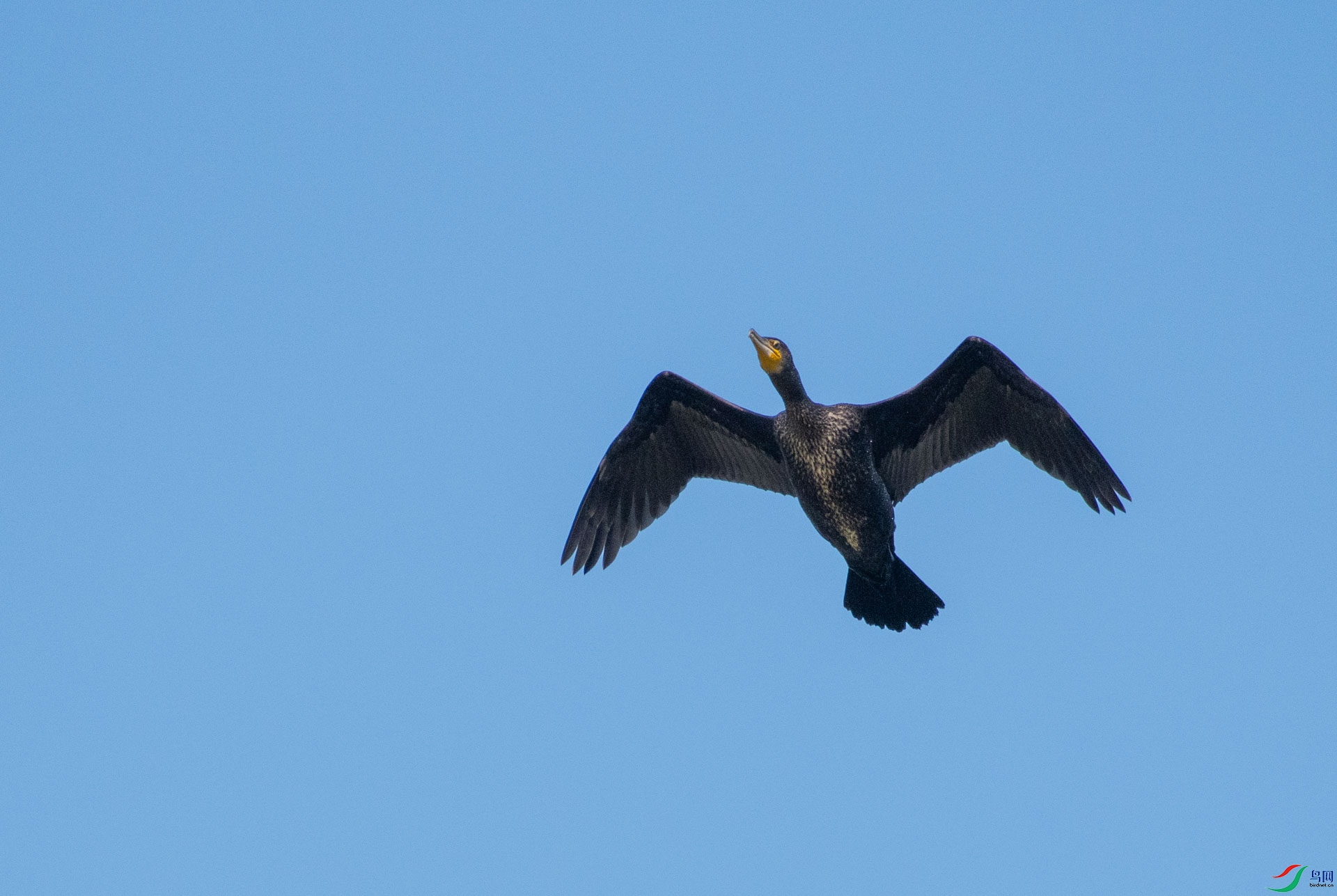 DSC_3162.jpg