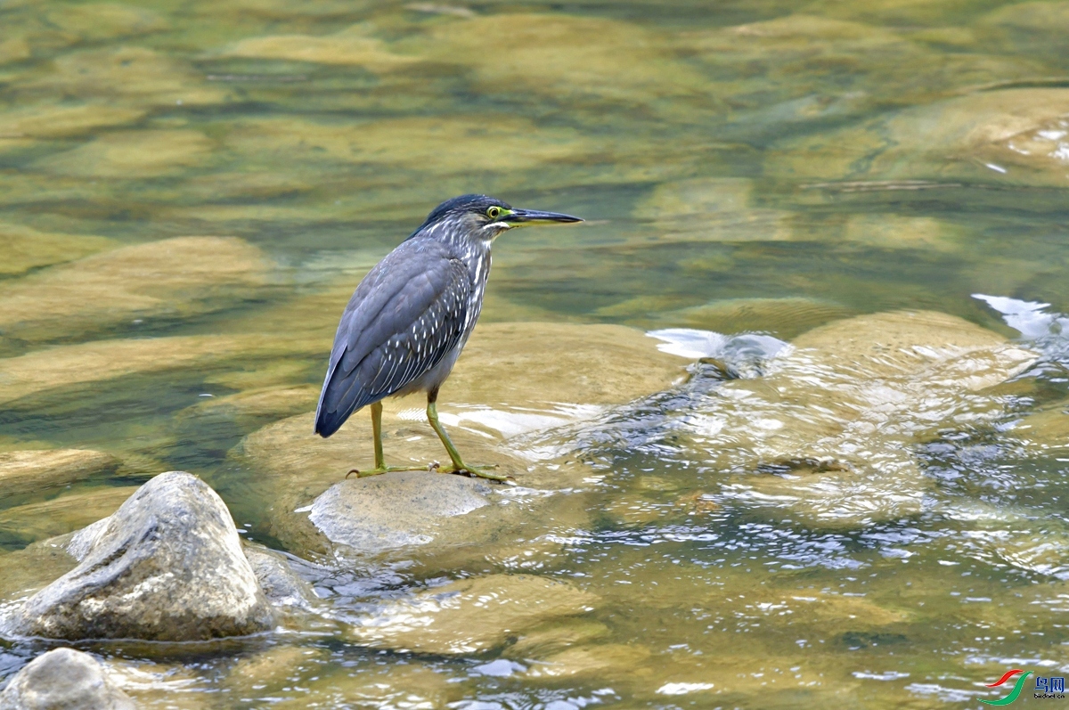 DSC_9561.JPG