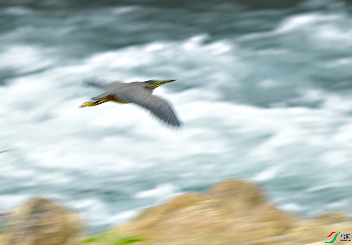 DSC_9632.JPG