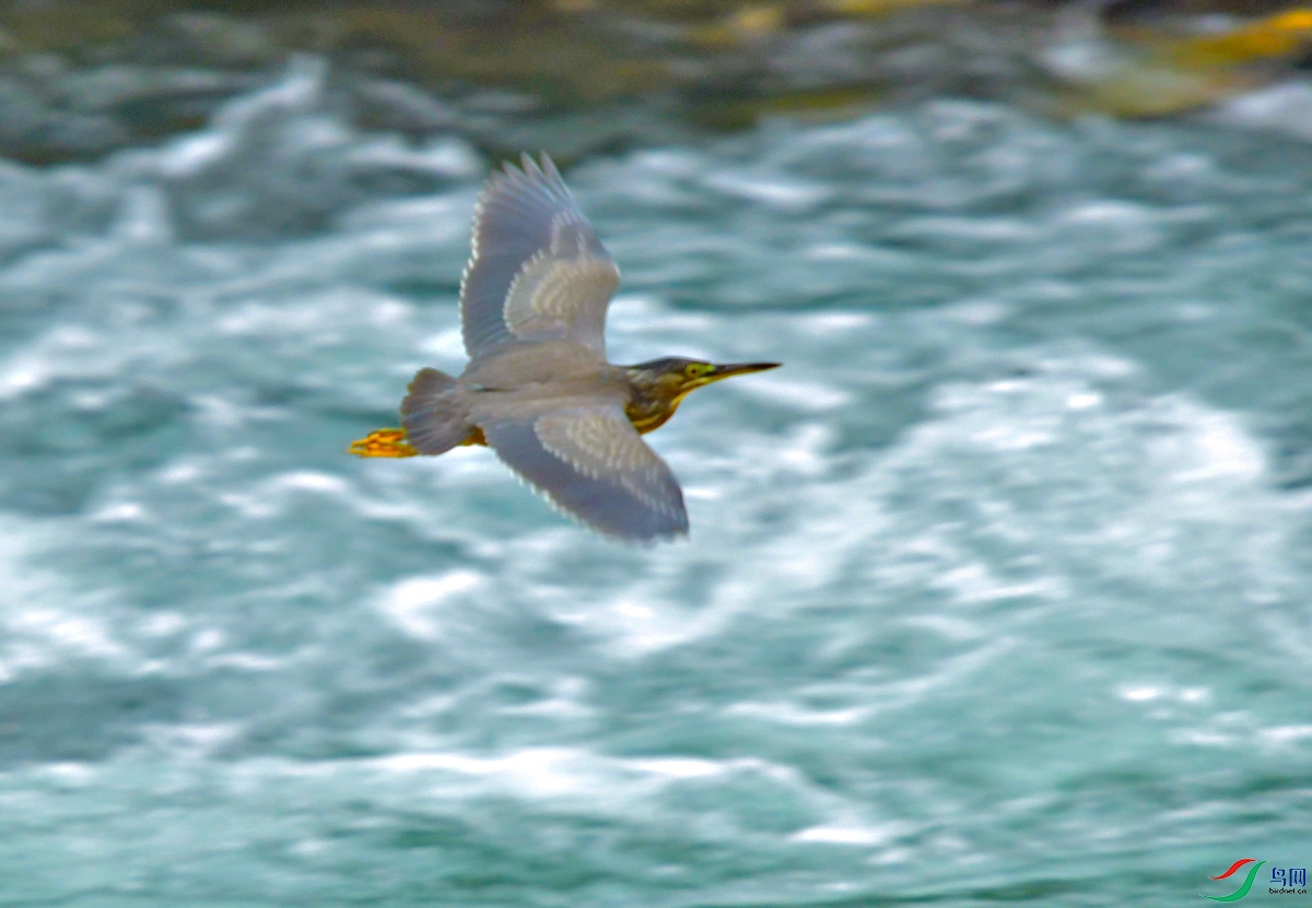 DSC_9635.JPG