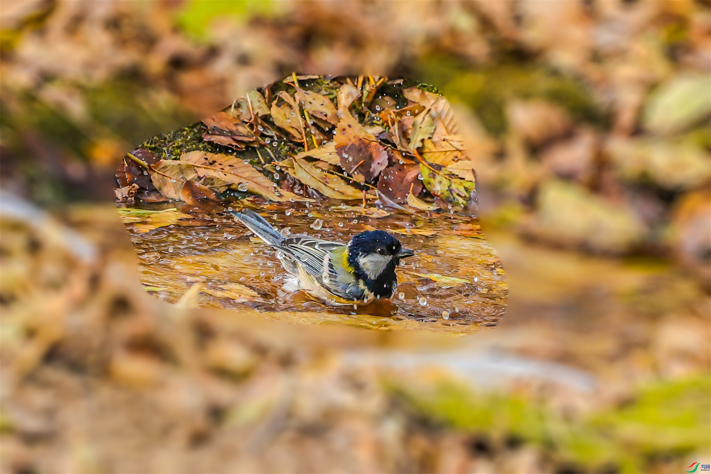 1K3A2714 ����1.jpg