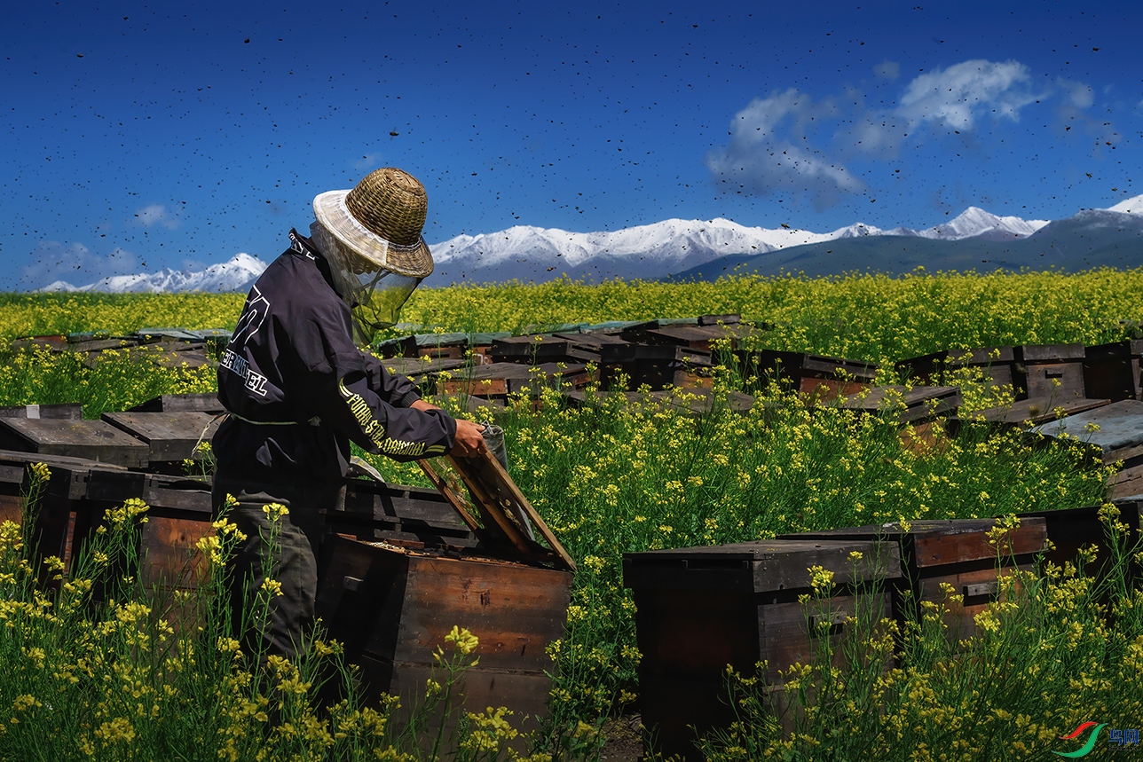 �������ຣ��Դ��