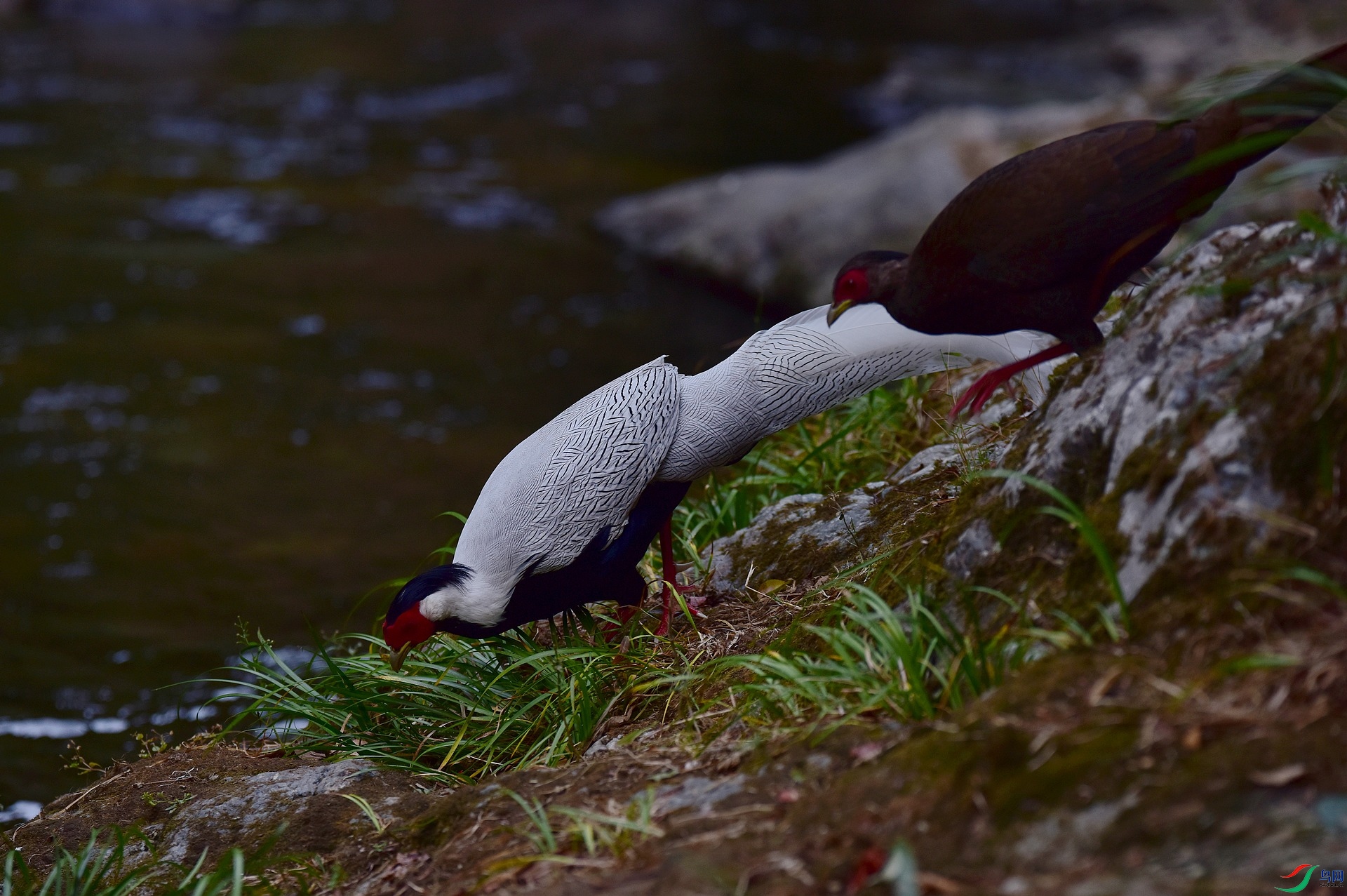 D8I_2325.jpg