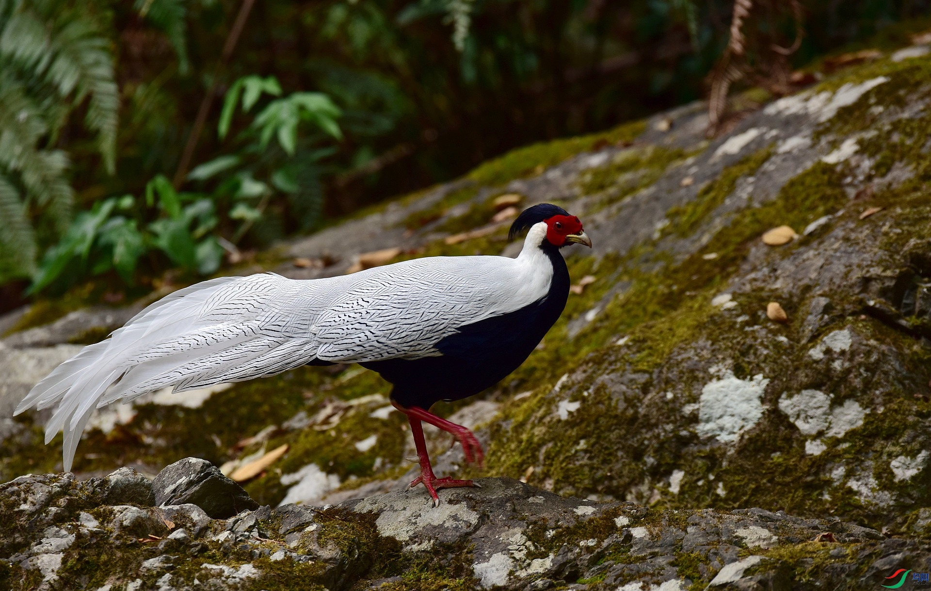 D8I_7060.jpg