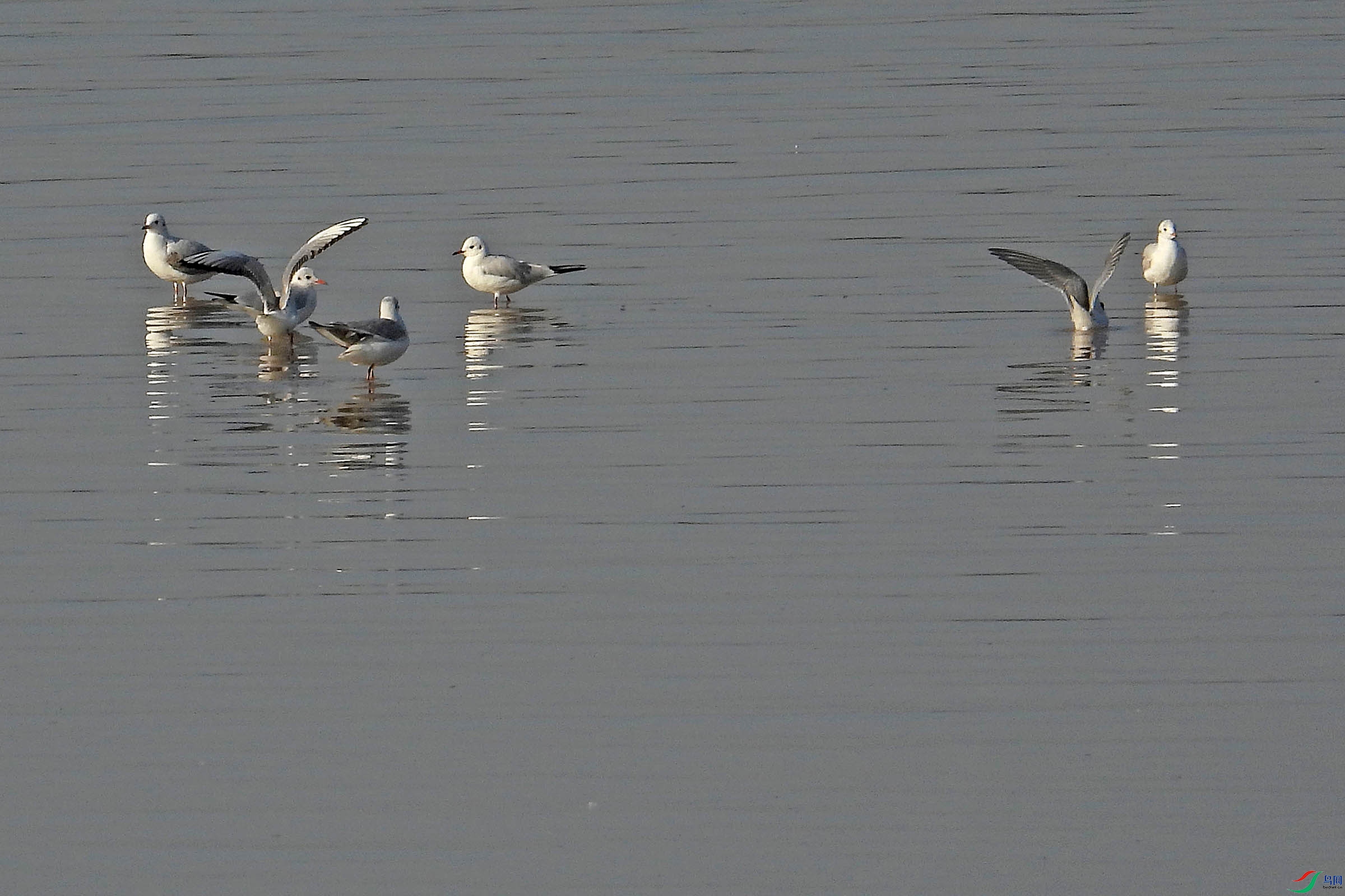 DSCN8032.jpg