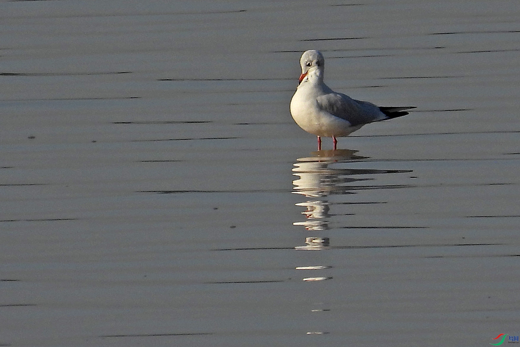 DSCN8046.jpg