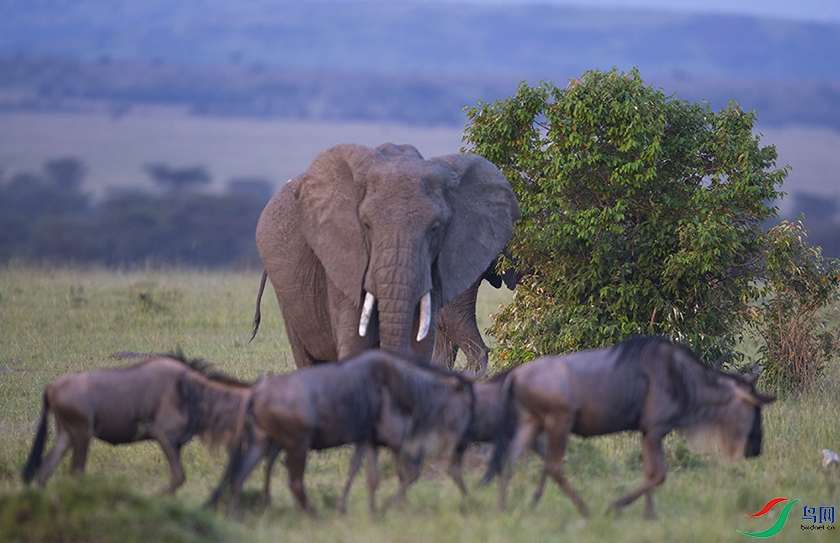 ���� (3).jpg