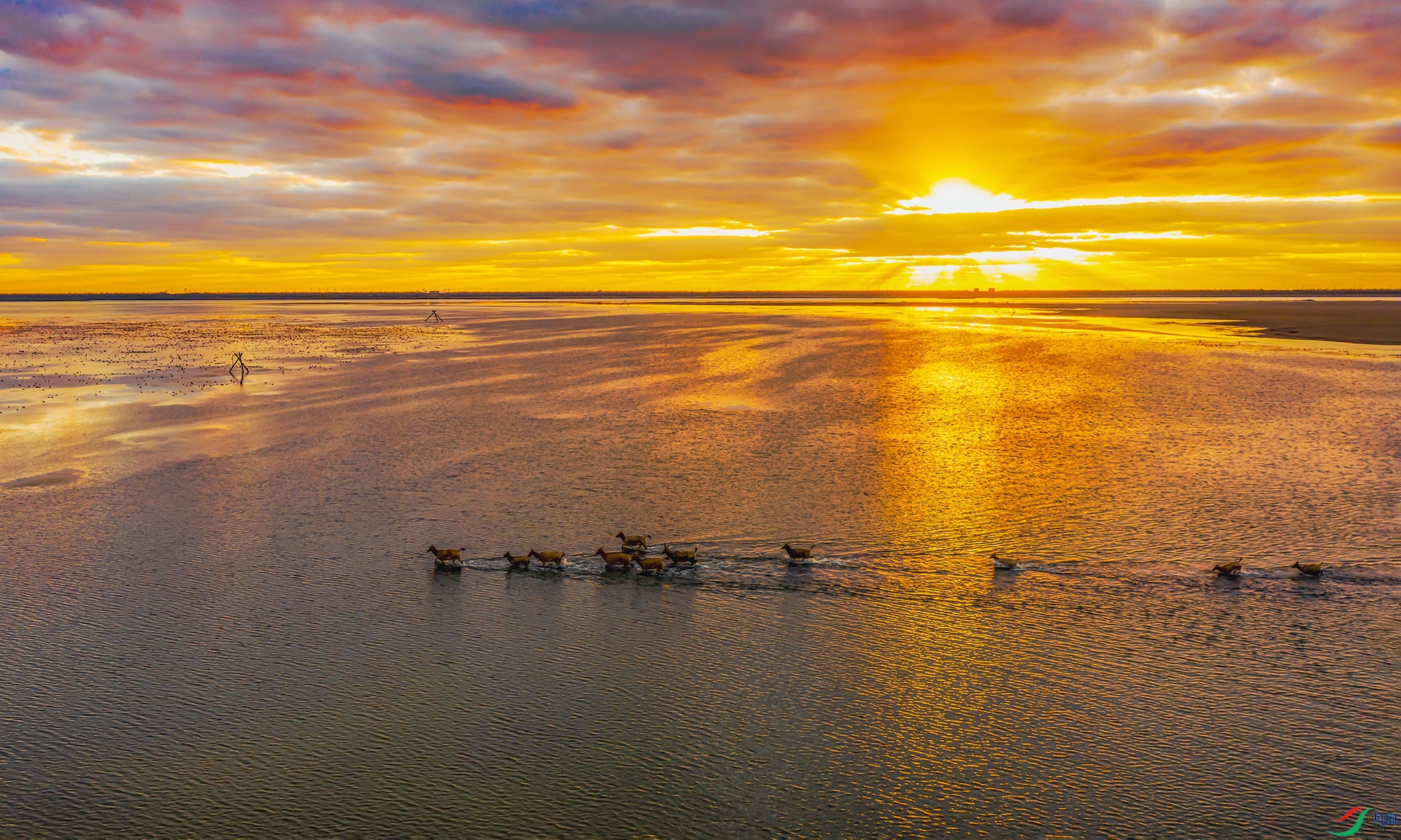 DJI_0003 ����.jpg