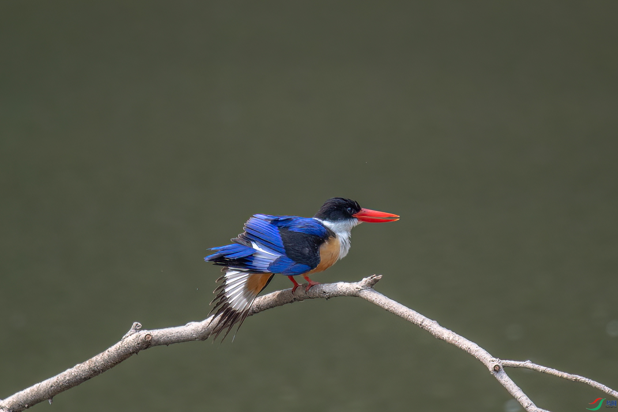 DSC_0925.jpg