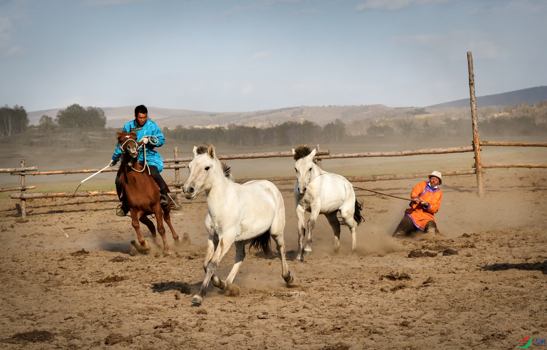 DSC_9056 ����_����.jpg