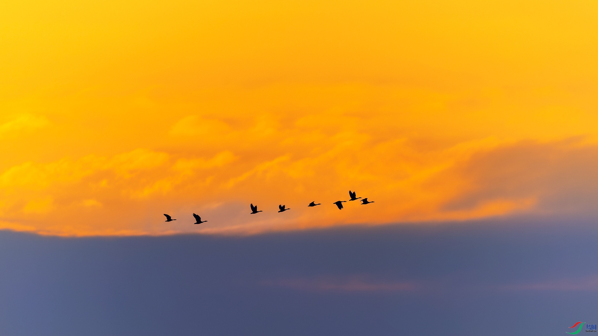 0_DSC1524-NEF_DxO_DeepPRIME.jpg