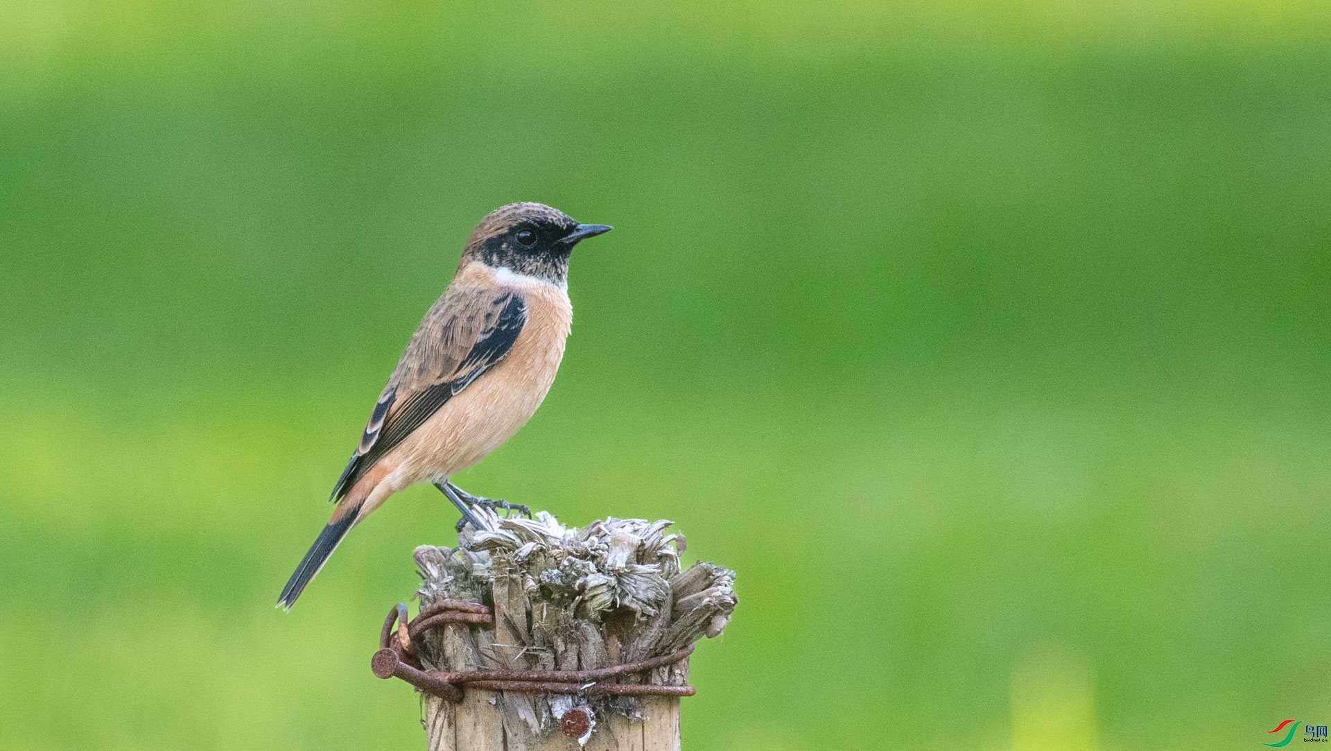 DSC_5118.jpg
