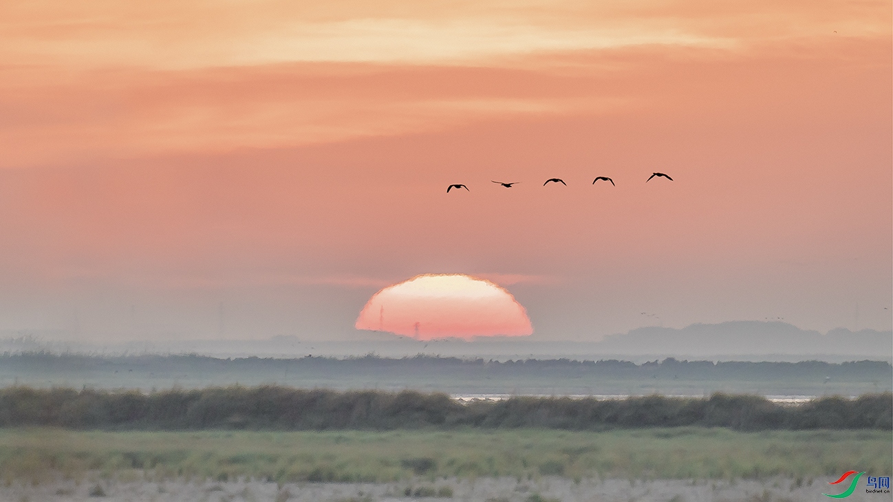 DSC01844 ����.jpg