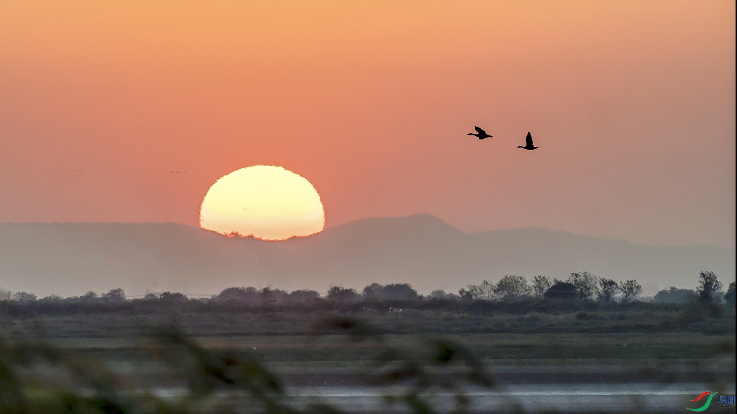 DSC03781 ����.jpg