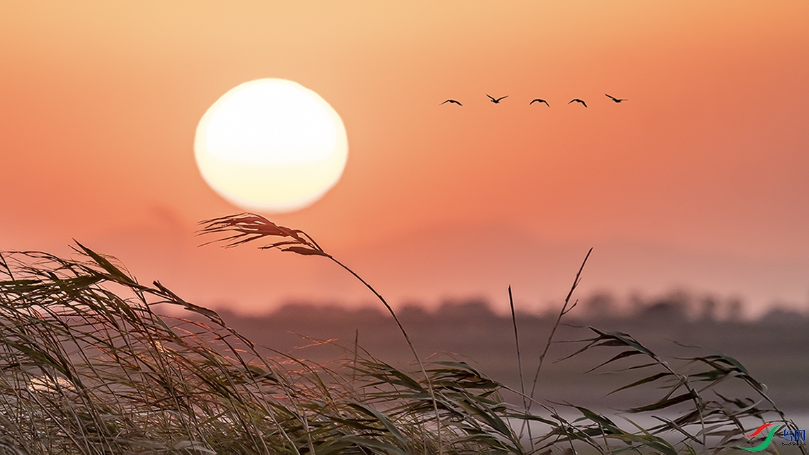 DSC03766 ����.jpg