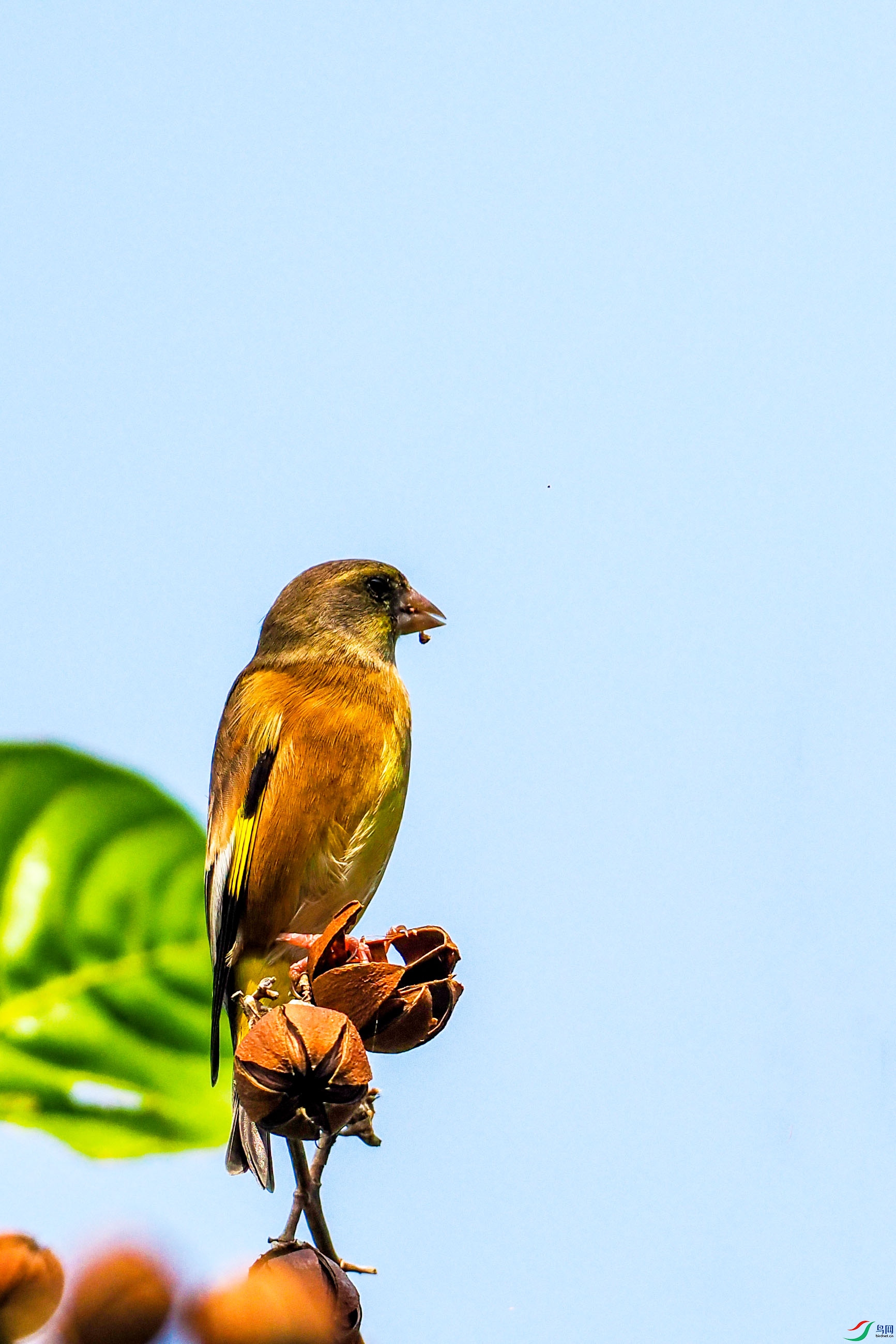 1PA271524 ����.jpg