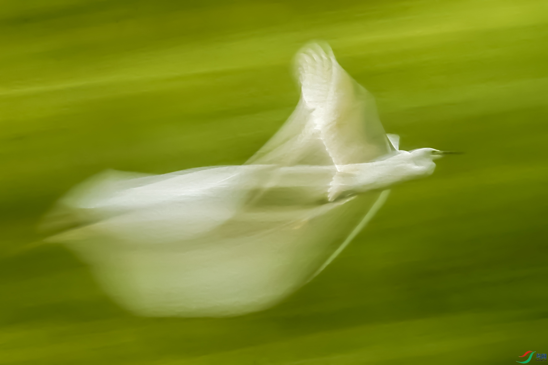 _C1I6486.jpg