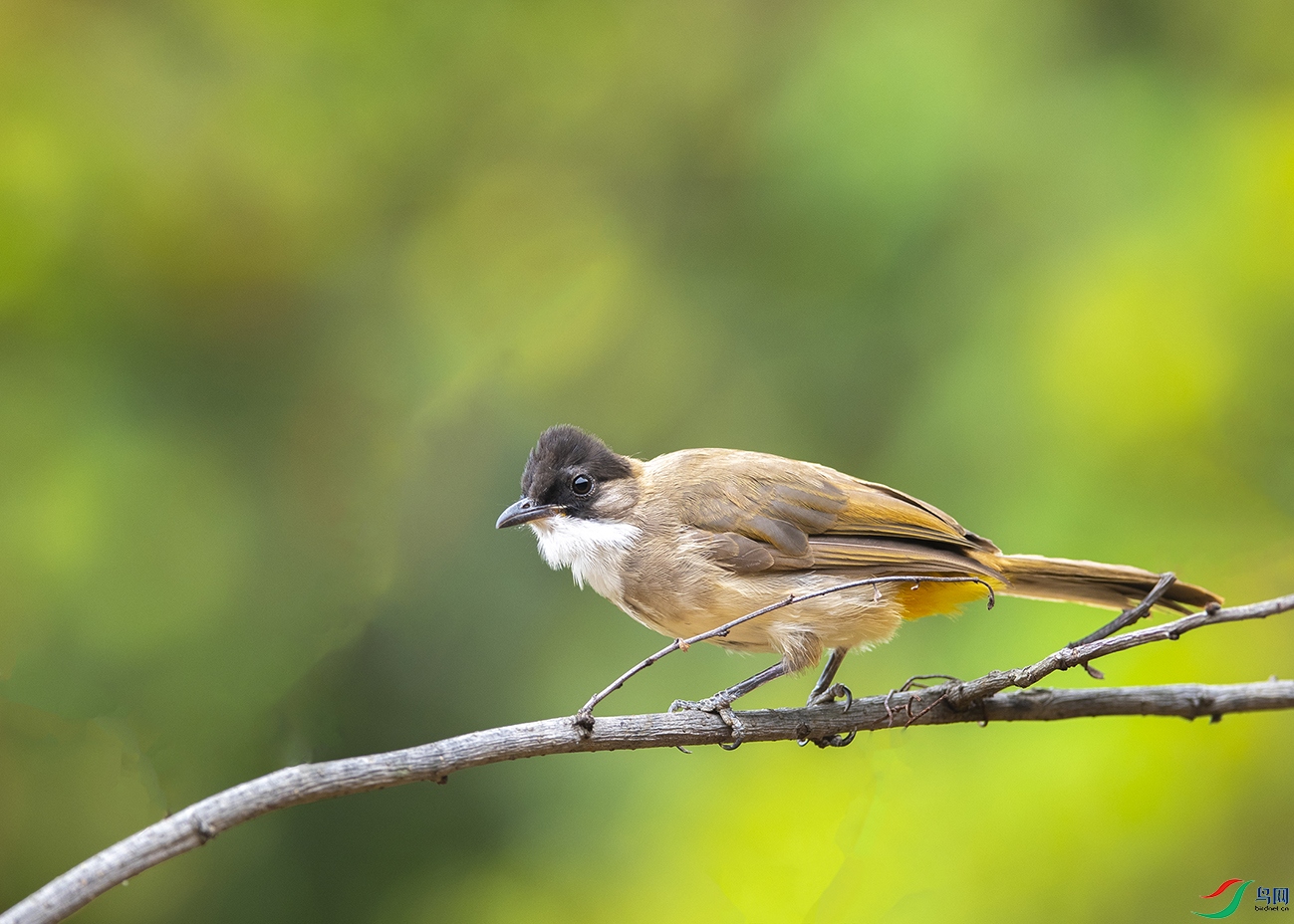 7538 ����-2.jpg