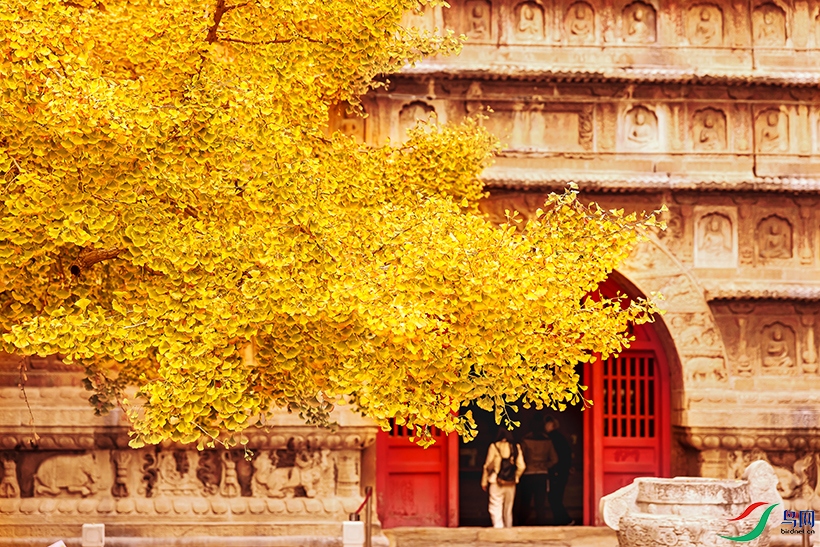 817A5866-1a ����c.jpg