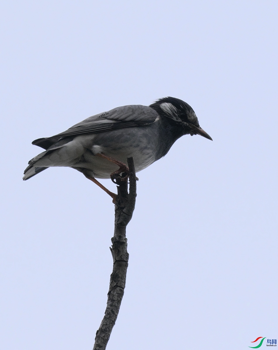 DSCF4304.jpg
