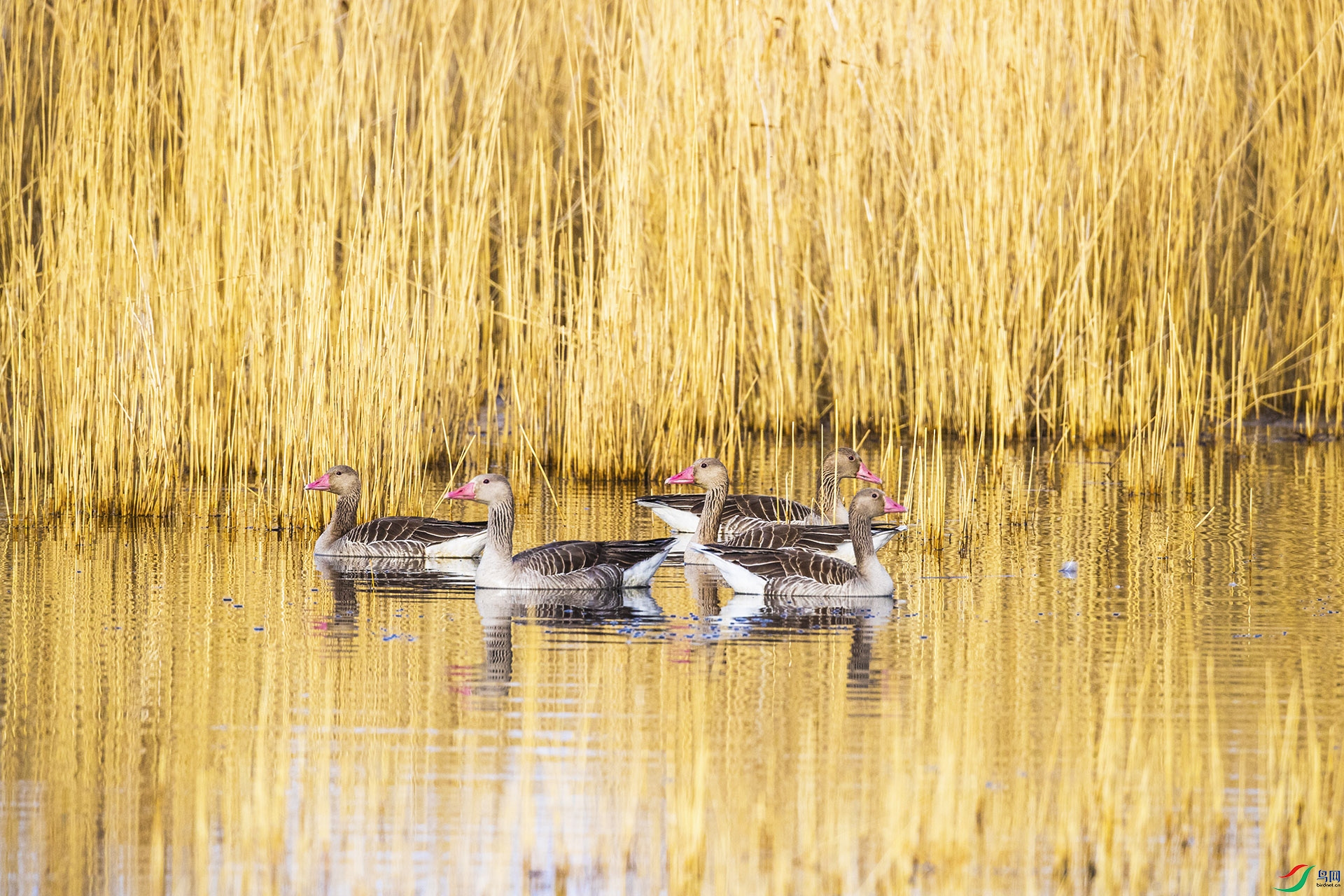 BB2I5383-2.jpg