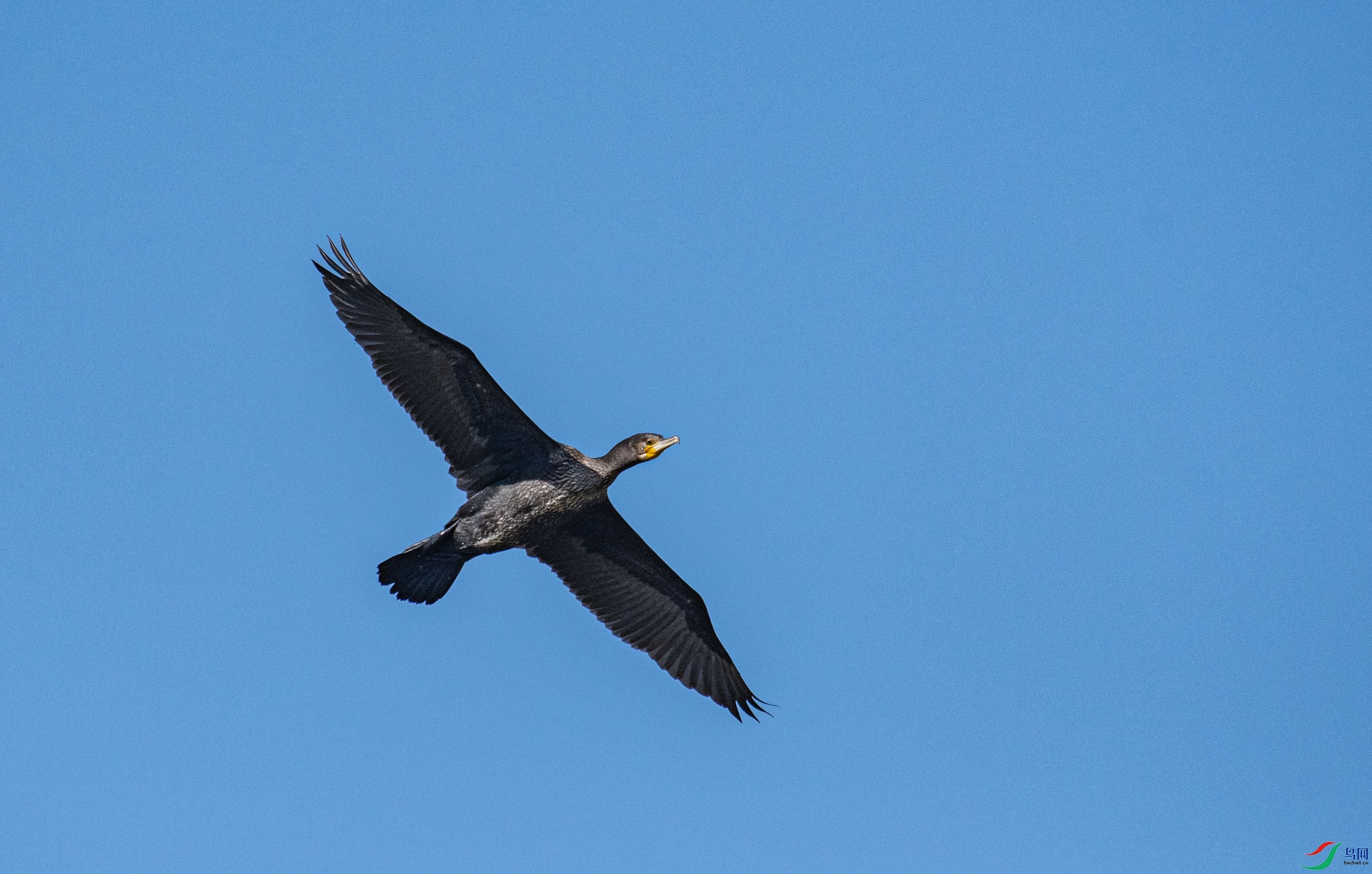 DSC_3197.jpg