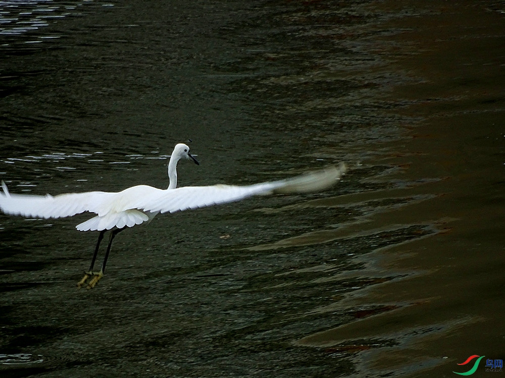 DSC00013_����.jpg